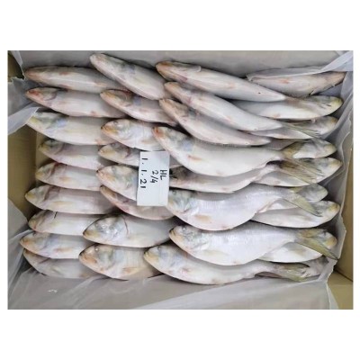 2020 Hot Selling Products Sea Food Buyers Fresh Fish Grfrorene Fisch Seafoods Frozen Hilsa From Oman For Market